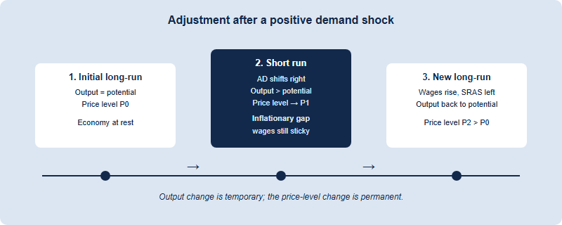 Timeline of adjustment after a positive demand shock: short-run inflationary gap, then SRAS shifts left, returning output to potential at a higher price level