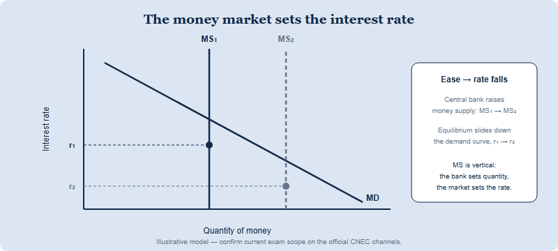 A money market diagram showing a downward-sloping money demand curve and a vertical money supply curve set by the central bank, with the interest rate at their intersection. An expansionary policy shifts the money supply right and lowers the interest rate.