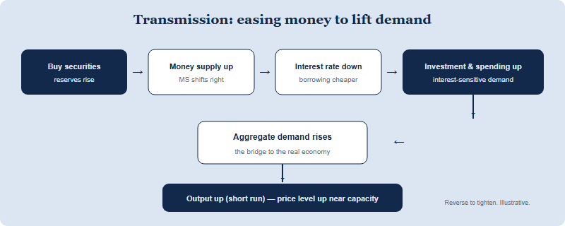 A transmission chain for expansionary monetary policy: the central bank buys securities, which raises the money supply, lowers the interest rate, raises investment and consumption, raises aggregate demand, and raises output and the price level.