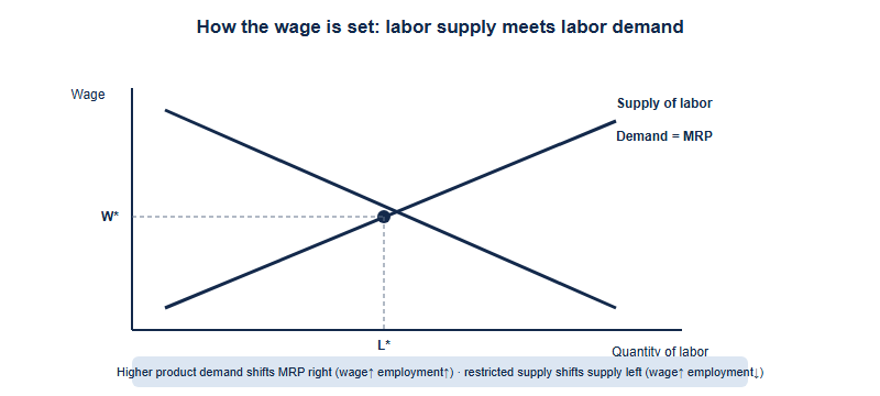 A labor-market supply-and-demand diagram. The downward-sloping labor demand curve is the marginal revenue product curve; the upward-sloping curve is labor supply. They cross at the equilibrium wage and employment level. A note shows that a rise in product demand shifts the MRP curve right, raising both wage and employment, while a restriction on labor supply shifts supply left, raising the wage but lowering employment.