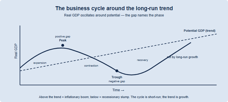 The business cycle drawn as real GDP oscillating around a rising long-run trend line, marking expansion, peak, contraction and trough, with positive and negative output gaps labelled