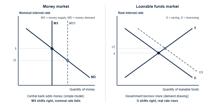 Two side-by-side graphs. Left, the money market: nominal interest rate on the vertical axis and quantity of money on the horizontal axis, with a vertical money supply curve and a downward-sloping money demand curve. When the central bank adds money in the simple model, money supply shifts right and the nominal rate falls. Right, the loanable funds market: real interest rate on the vertical axis and quantity of loanable funds on the horizontal axis, with an upward-sloping supply curve from saving and a downward-sloping demand curve from borrowing. When the government borrows more, demand shifts right and the real rate rises.
